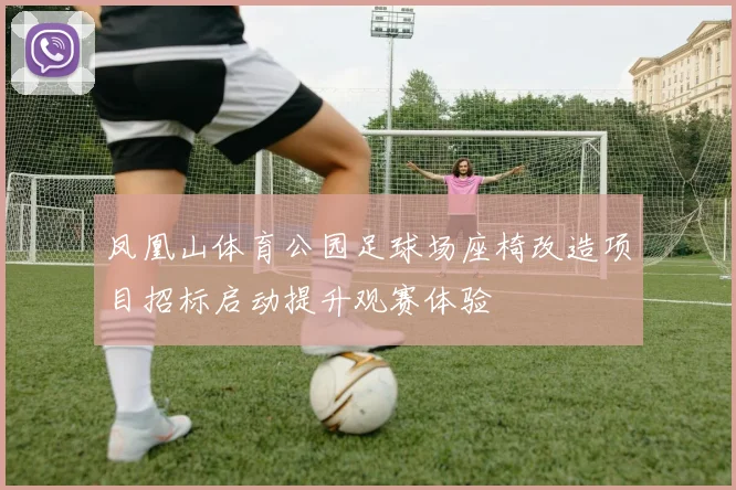 凤凰山体育公园足球场座椅改造项目招标启动提升观赛体验